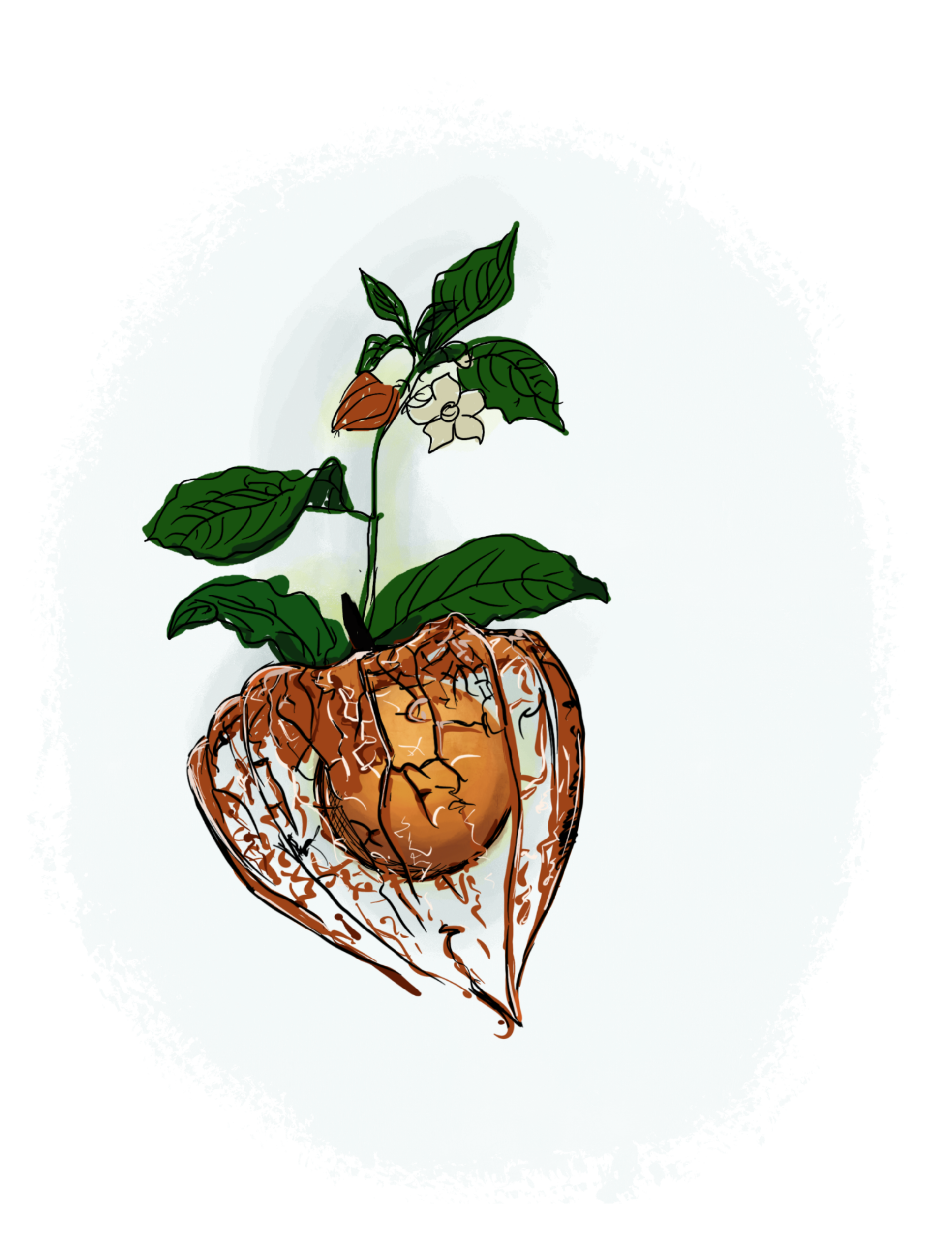 Groeiplaats het Gilde